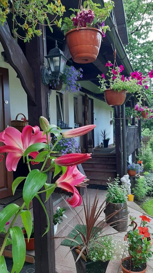 Pokoj W Karpaczu Apartment Екстериор снимка